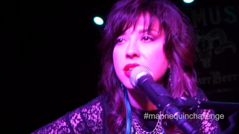 #MannequinChallenge – Jenni Dale Lord – New Music Video